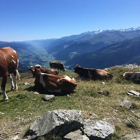 Haus Seifriedsberger *