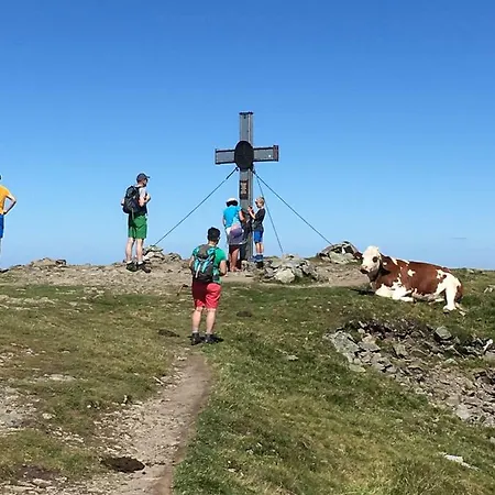 Apartamento Haus Seifriedsberger *