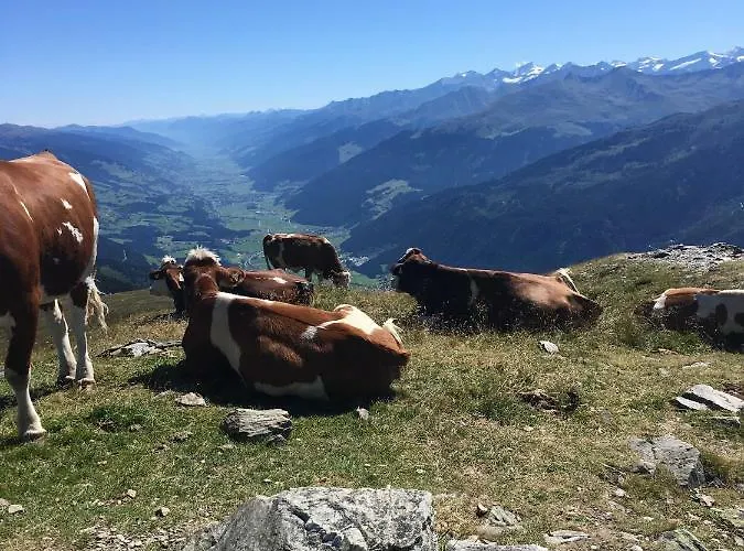 Haus Seifriedsberger *